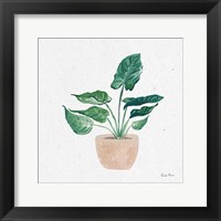 Home Garden III Framed Print