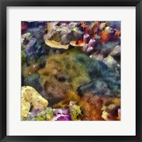 Sea Life IV Framed Print