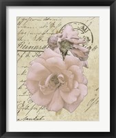 Framed 'Wishing You Well II' border=