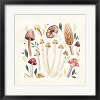 Fungi Field Trip II Framed Print