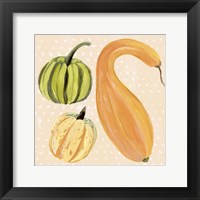 Framed 'Decorative Gourd I' border=