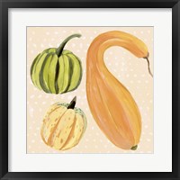 Decorative Gourd I Framed Print