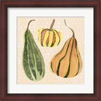 Framed 'Decorative Gourd II' border=