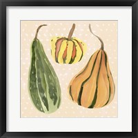 Decorative Gourd II Framed Print