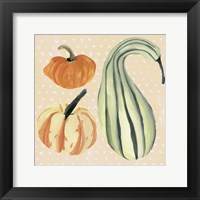 Framed 'Decorative Gourd III' border=