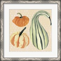 Framed 'Decorative Gourd III' border=