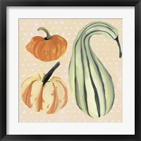 Framed 'Decorative Gourd III' border=