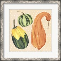 Framed 'Decorative Gourd IV' border=