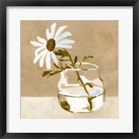 Framed 'Solitary Daisy I' border=