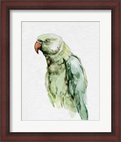 Framed 'Bright Parrot Portrait I' border=