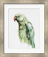 Framed 'Bright Parrot Portrait I' border=