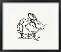 Framed Resting Hare II