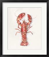 Salty Lobster I Framed Print