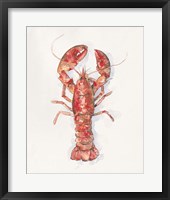 Framed 'Salty Lobster I' border=