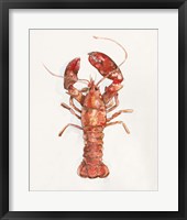 Framed Salty Lobster II