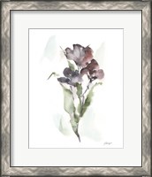 Framed 'Plum Bouquet II' border=