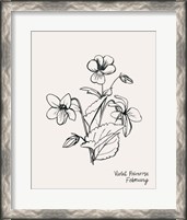 Framed 'Annual Flowers II' border=