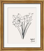 Framed 'Annual Flowers III' border=