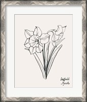 Framed 'Annual Flowers III' border=