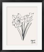 Annual Flowers III Framed Print
