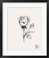 Annual Flowers VI Framed Print