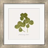 Framed 'Pressed Clover II' border=