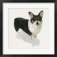 Pup for the Queen I Framed Print