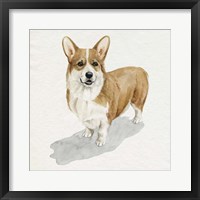 Pup for the Queen II Framed Print