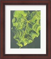 Framed 'Elephant Ears II' border=