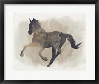 Framed Galloping II