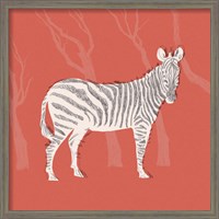 Framed 'Plains Zebra I' border=