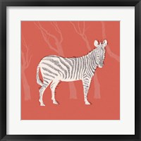 Plains Zebra I Framed Print