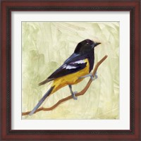 Framed 'Backyard Birds I' border=