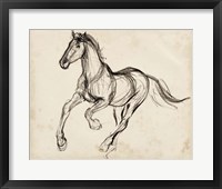 Framed Gestural Apaloosa I