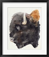 Watercolor Bison Profile II Framed Print