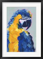 Framed Pop Art Parrot II