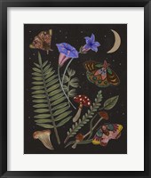 Dark Forest II Framed Print