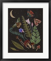 Dark Forest III Framed Print