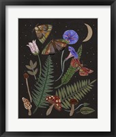 Dark Forest IV Framed Print