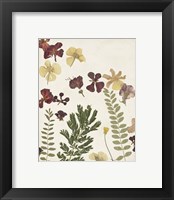 Framed 'Pressed Flower Arrangement I' border=