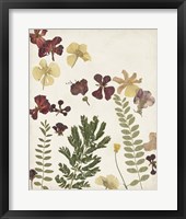 Framed Pressed Flower Arrangement I