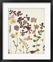 Framed Pressed Flower Arrangement III