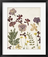 Pressed Flower Arrangement IV Framed Print