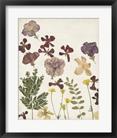 Framed 'Pressed Flower Arrangement IV' border=