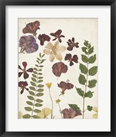 Pressed Flower Arrangement VI Framed Print