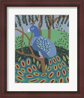 Framed 'Dandy Peacock II' border=