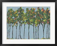 Sunset Trees II Framed Print