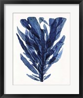 Indigo Ocean II Framed Print