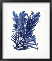 Indigo Ocean III Framed Print