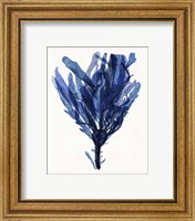 Framed 'Indigo Ocean IV' border=